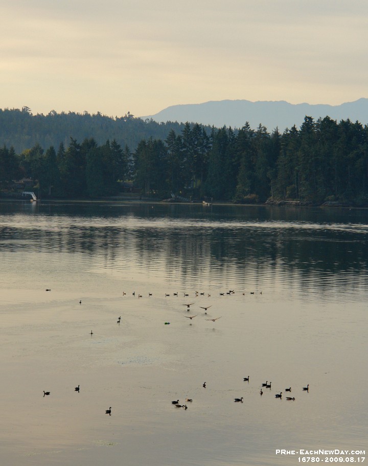 16780CrLeSh - Morning, Ty Colwyn, Sooke